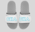 CHA Slides
